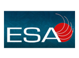 Electronic Sales Associates