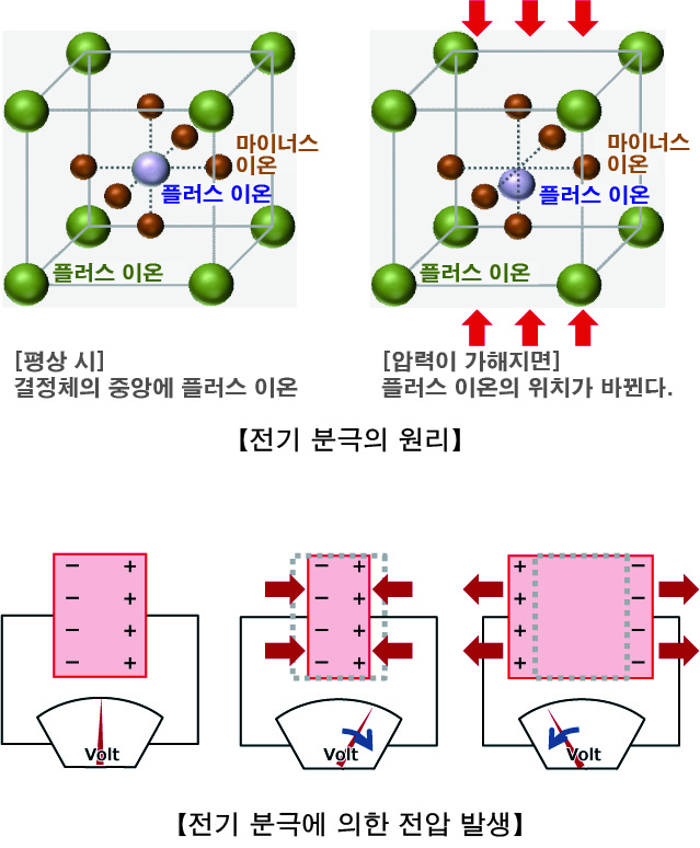 전기 분극의 원리 전기 분극으로 인한 전압의 발생