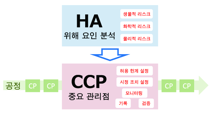 HACCP 위해 요인 분석과 중요 관리점