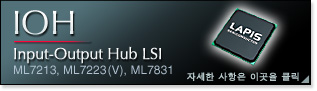 IOH(Input-Output Hub)
